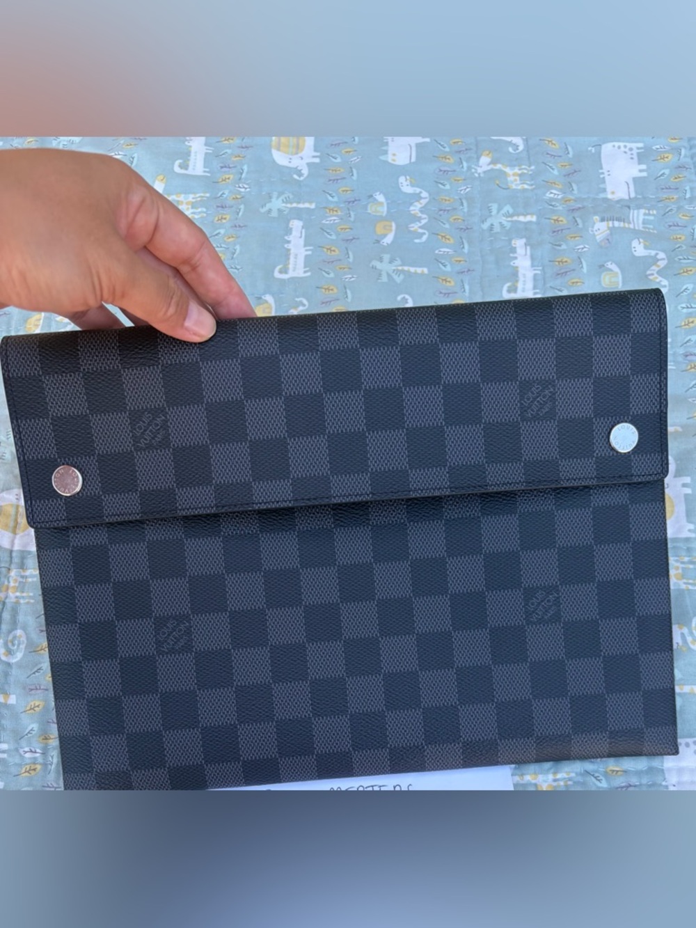 Louis Vuitton Graphite Large Pouch